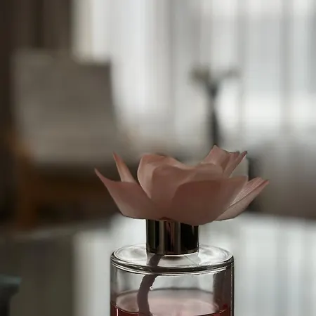 Warm 4 Apartman Bukarest